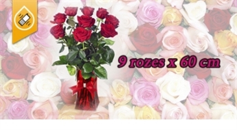 Ideāla ideja dāvanai! Skaists pušķis no 9 rozēm ar piegādi no DOMINO