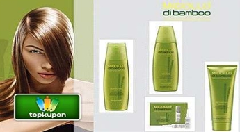 Каутеризация волос Midollo di Bamboo (лечение волос) + стрижка кончиков в салоне "Venezia" или "Eklektik" со скидкой 51%!