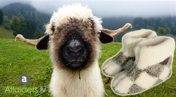 Тепло осенними и зимними вечерами! Чуни из Меринос овечьей шерсти для Вашего здоровья и комфорта! Всего за 4,99 лата!
