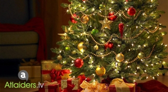 Рождественская елочка выращенная в Латвии (1,50-2,2 м) в Плявниеках и Зиепниеккалнсе!