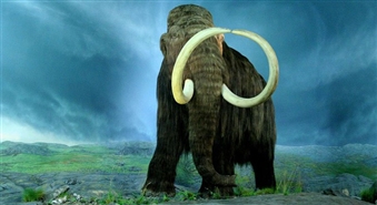 Pastaiga ar mamutu pa Gaujas Nacionālo Parku ar atlaidi 65%