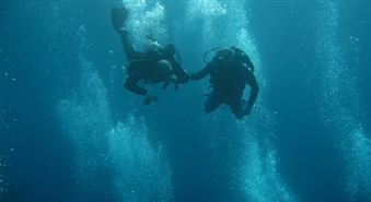 Atklāj zemūdens pasaules burvību: 
									Iepazīšanās niršana ar akvalangu (introdive) ar 60% atlaidi