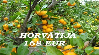 24.10.Horvātija - Mandarīnu Paradīze Tikai 168 Eur