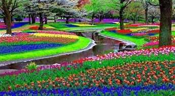 Holande: Ceļojums garantēts-13.04.17 uz Nīderlandes karalisko ziedu parku Keukenhofa!