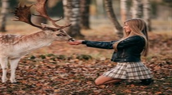 Fotosesijas vietas īre „Safari parks More“