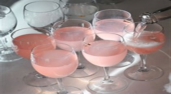 Ekskursija un degustācija bērzu sulu ražotnē „BIRZĪ”