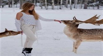 Fotosesijas vietas īre „Safari parks More“