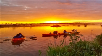 Laivu un SUP saullēkta brauciens purvā un brokastis