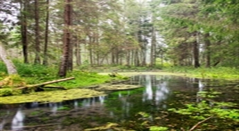 Fototūrisma pārgājiens fotogrāfiem