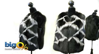 Veste no polārlapsas un sudrablapsas ar 20% atlaidi.