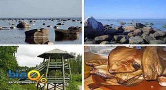 Колка. Слитерсий парк. Знакомство с рыболовецким промыслом. Дегустация рыбы и купание в море!Скидка 50%