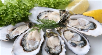 Labākās austeres restorānā Oyster Bar Medusa -50%