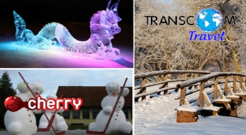 Transcom Travel: поездка в Земгале с возможностью посетить фестиваль ледовых скульптур в Елгаве и Терветскую пивоварню -41% Гарантированная поездка!