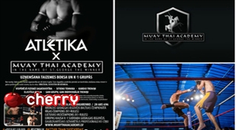 "Muay Thai Academy" Taizemes Bokss
