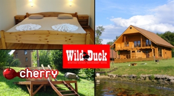 Гостевой дом WILD DUCK на берегу Даугавы