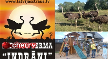 „STRAUSU DIENAS” Siguldā