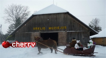 Mari: поездка в Литву 27.12.2014