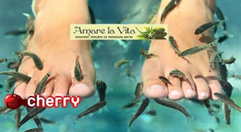 La Vita Amare: педикюр рыбками Гарра Руфа