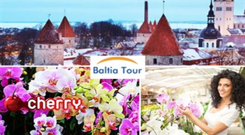 Baltia Tour: brauciens uz Tallinu sieviešu dienā