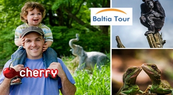 Baltia Tour: brauciens uz Tallinu (03.04.2015.)