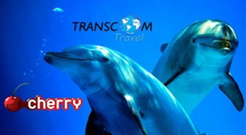 Transcom Travel: поездка в Клайпеду