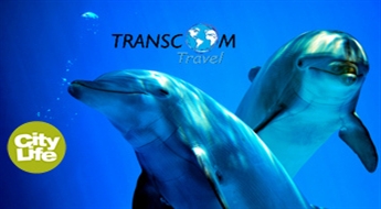 Transcom Travel: поездка в Клайпеду
