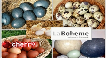 Lieldienu olu festivāls
