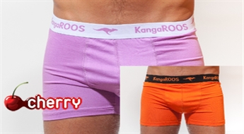 Мужские трусы-боксеры Kangaroos (2 шт.)