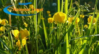 Экскурсия по Видземе (20.06.2015)