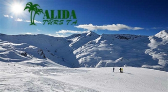 Alida Tūrs T.A.: полет в Бергамо