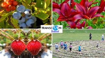 Transcom Travel: экскурсия по Курземе