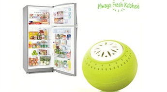 Fresh Fridge Balls bumbas (3 gab.)
