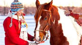 Индивидуальное обучение, верховая прогулка или фотосессия в клубе ĪRISS -43%
