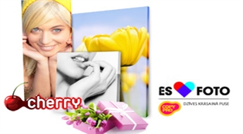 Печать на холсте от COPY PRO