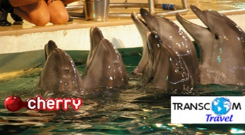 Transcom Travel: Delfinārijs maija brīvdienās!