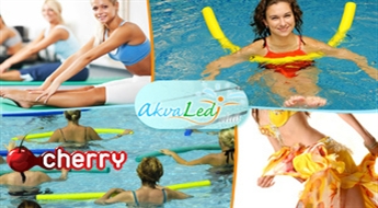 Akva Ledy Club: спортивные занятия для дам
