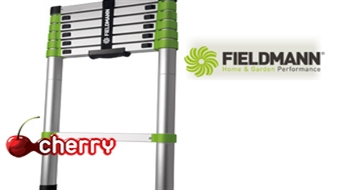 Телескопическая лестница Fieldmann