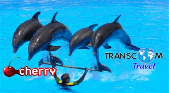 Transcom Travel: поездка в Клайпеду