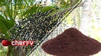 Acai ogu pulveris (100 g)