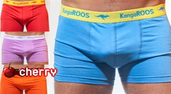Мужские трусы-боксеры Kangaroos (2 шт.)