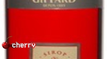 Dzērveņu sīrups 1L (cranberry)