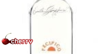 Triple Sec sīrups 1l