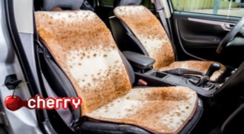 Auto sēdekļa pārklājs