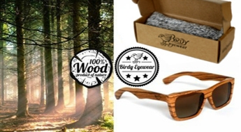 Деревянные солнечные очки Birdy Eyewear