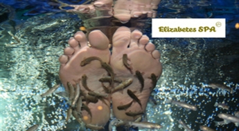 Elizabetes SPA: педикюр рыбками Гарра Руфа