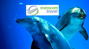 Transcom Travel: поездка в Клайпеду