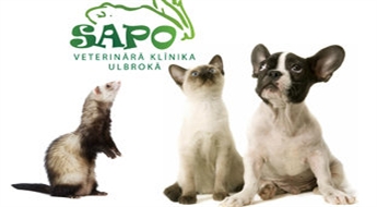 Sapo: вакцинация собаки, кота или домашнего хорька -50%