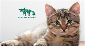 Beinerta klīnika -36%