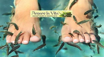 Amare La Vita: педикюр рыбками Гарра Руфа -54% Насладитесь уникальными ощущениями!