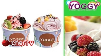 Frozen Yoghurt saldējums (500 ml)  jaunajā kafejnīcā YOGGY pašā Rīgas centrā - 33%
